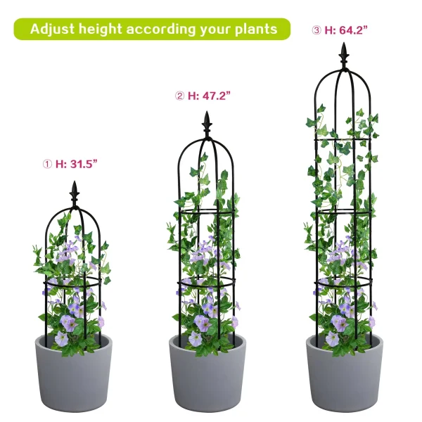6.2ft Garden Obelisk Trellis